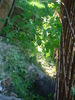 DSC03335