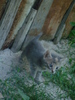 DSC03336