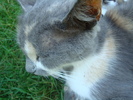 DSC03347