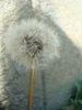 DSC03354