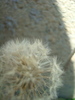 DSC03355