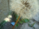 DSC03356
