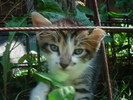 DSC03359
