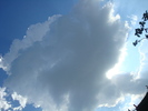 DSC03367