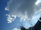 DSC03368