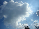 DSC03372