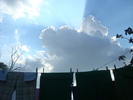 DSC03373