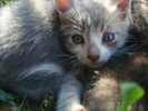 DSC03391