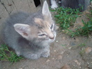 DSC03446