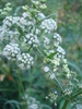DSC03494