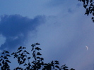 DSC03525