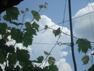DSC03563