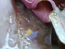 DSC03645