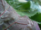 DSC03646