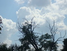 DSC03648