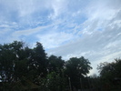 DSC03667