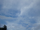 DSC03669