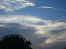 DSC03686