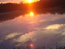 DSC03695