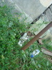 DSC04341