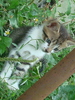 DSC04342