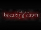 breaking_dawn-535x401