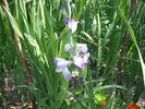 DSCF4178
