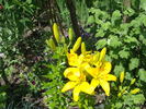 DSCF3948