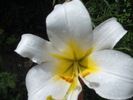 DSCF3986