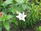 DSCF4073