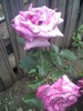 18-06-10_1248