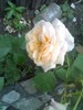 18-06-10_1250