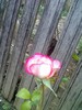 18-06-10_1253