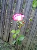 18-06-10_1254