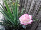 P150910_13.37_[01]