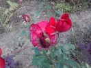 P150910_13.40_[01]