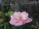 P150910_13.40_[03]