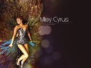Can-t-Be-Tamed-miley-cyrus-12298019-1024-768