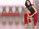 zaara15