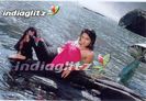 zaara31