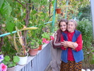 Petuniile bunicii in 20 sept 2010, de ziua ei, la implinirea celor 81 de ani