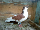 DSC00953
