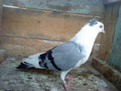 DSC00956