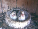 13902280_EWTQZAUBD