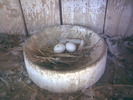 13902298_YHVLTHGUX