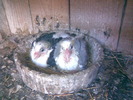 13902311_WZEEGCKEQ