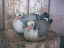 13902354_SXMHFTIEY