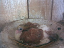 13902359_SSKCTVBTV