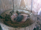 13902368_ABHWIMHTJ