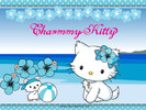 charmmy_kitty_4